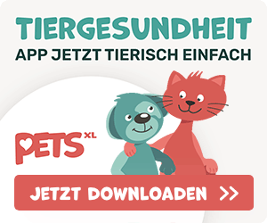 petsXL als APP jetzt downloaden