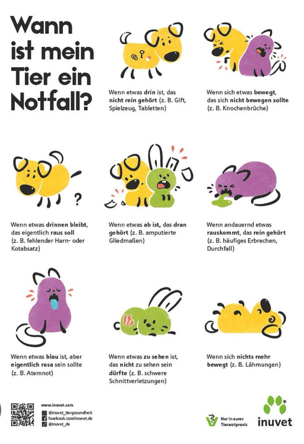 Wann ist mein Tier ein Notfall?